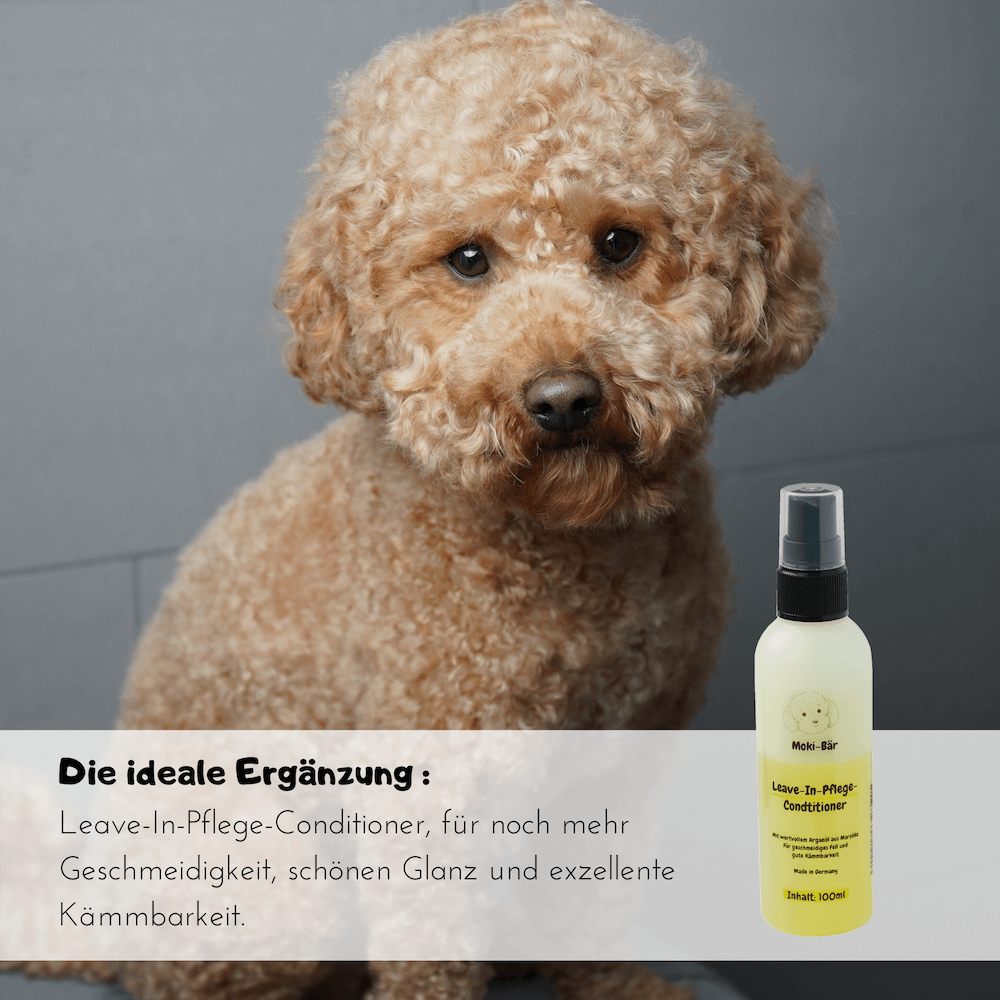 kunstner at tilbagetrække Andrew Halliday Intensiv-Pflege-Hundeshampoo 250ml - Mokizwergpudel.de