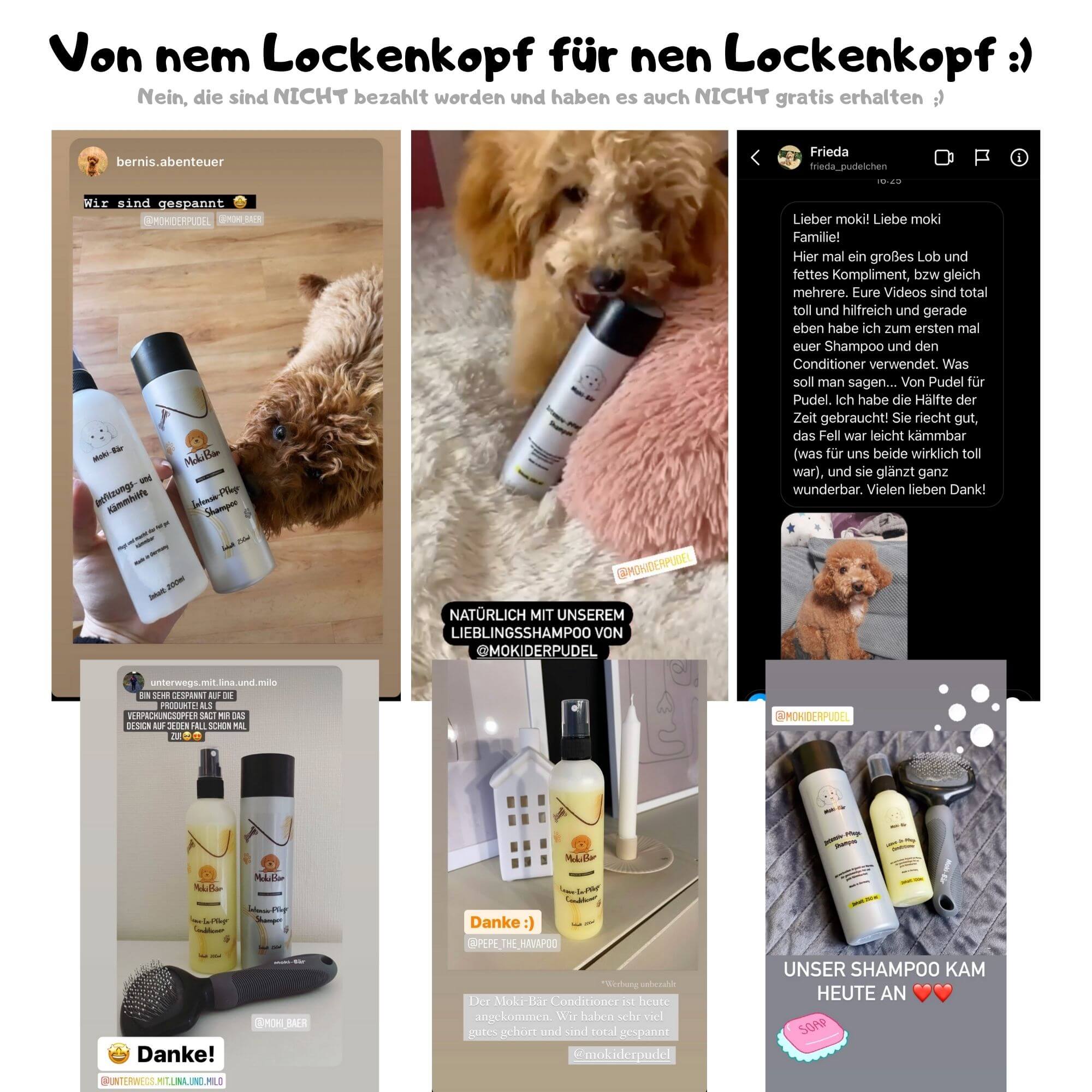 kunstner at tilbagetrække Andrew Halliday Intensiv-Pflege-Hundeshampoo 250ml - Mokizwergpudel.de
